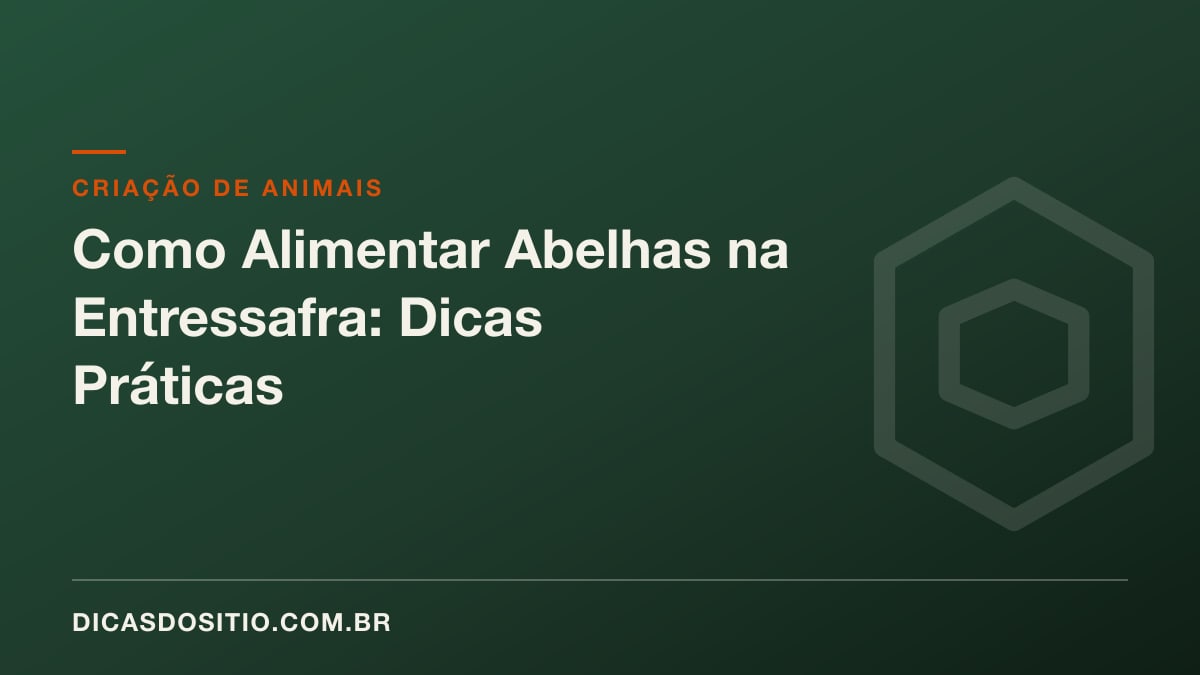 Como Alimentar Abelhas na Entressafra: Dicas Práticas