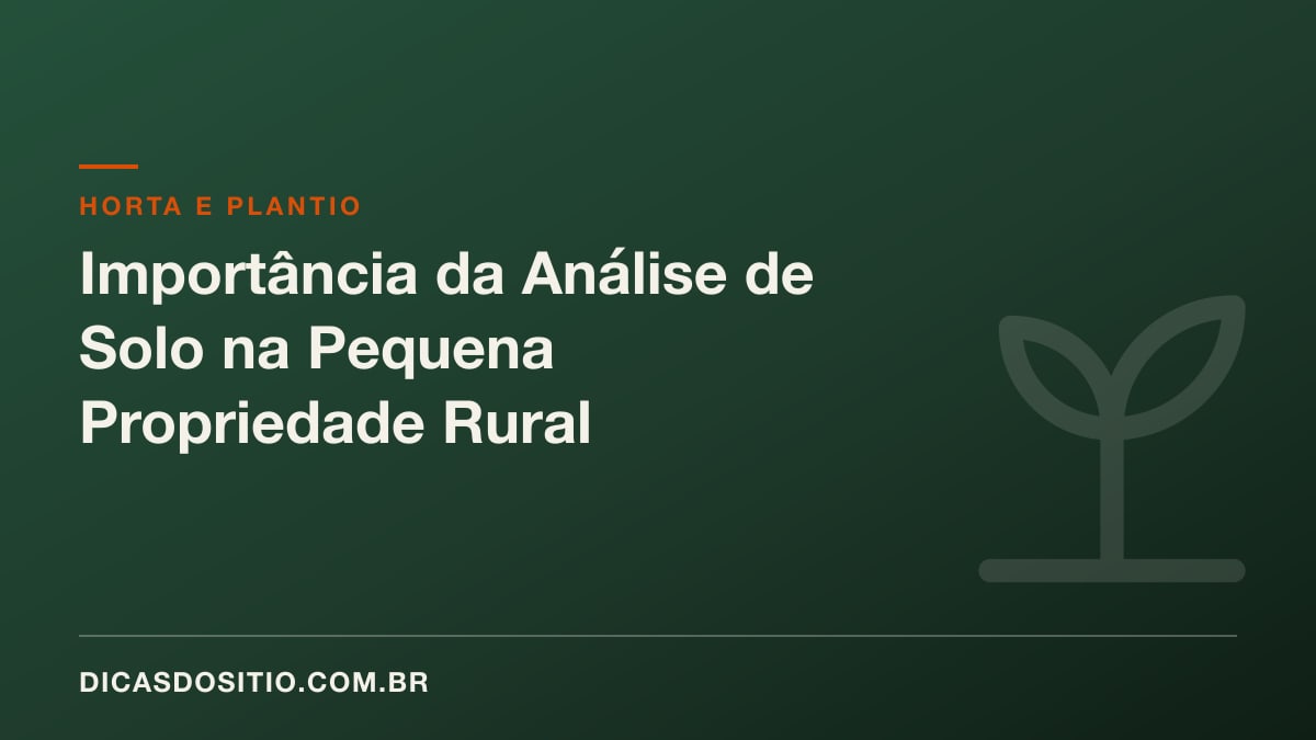 Importância da Análise de Solo na Pequena Propriedade Rural