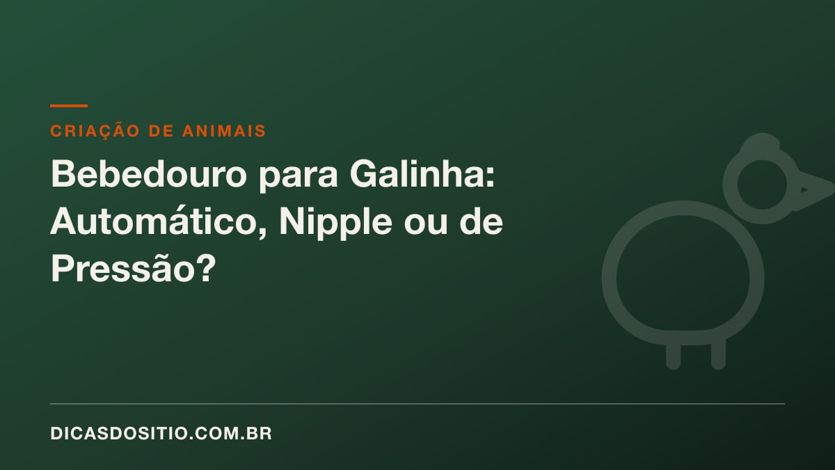 Bebedouro para Galinha: Automático, Nipple ou de Pressão?