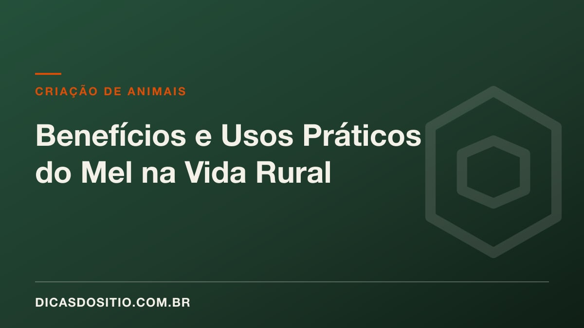 Benefícios e Usos Práticos do Mel na Vida Rural