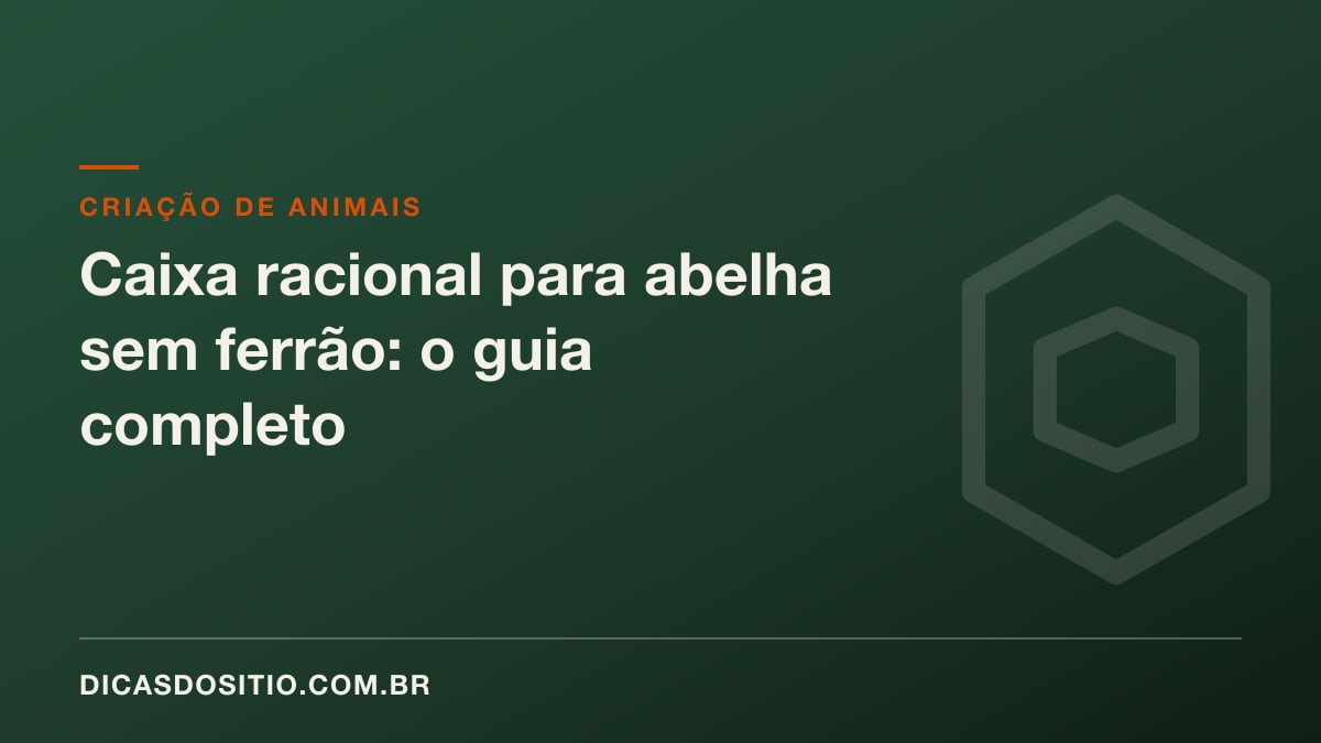 Caixa racional para abelha sem ferrão: o guia completo