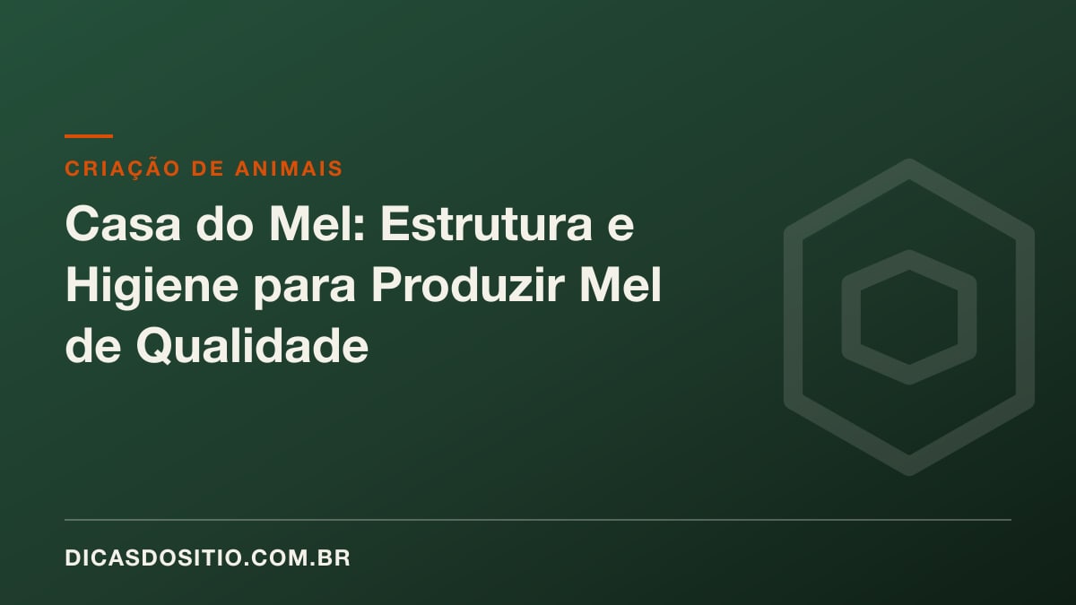 Casa do Mel: Estrutura e Higiene para Produzir Mel de Qualidade
