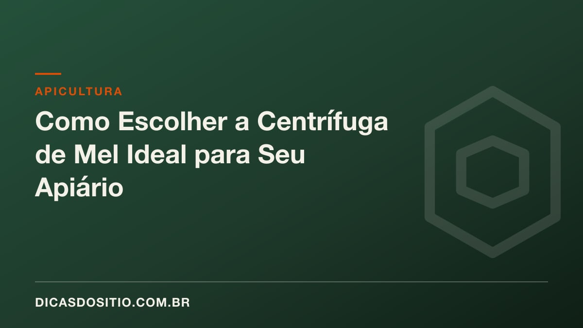 Como Escolher a Centrífuga de Mel Ideal para Seu Apiário