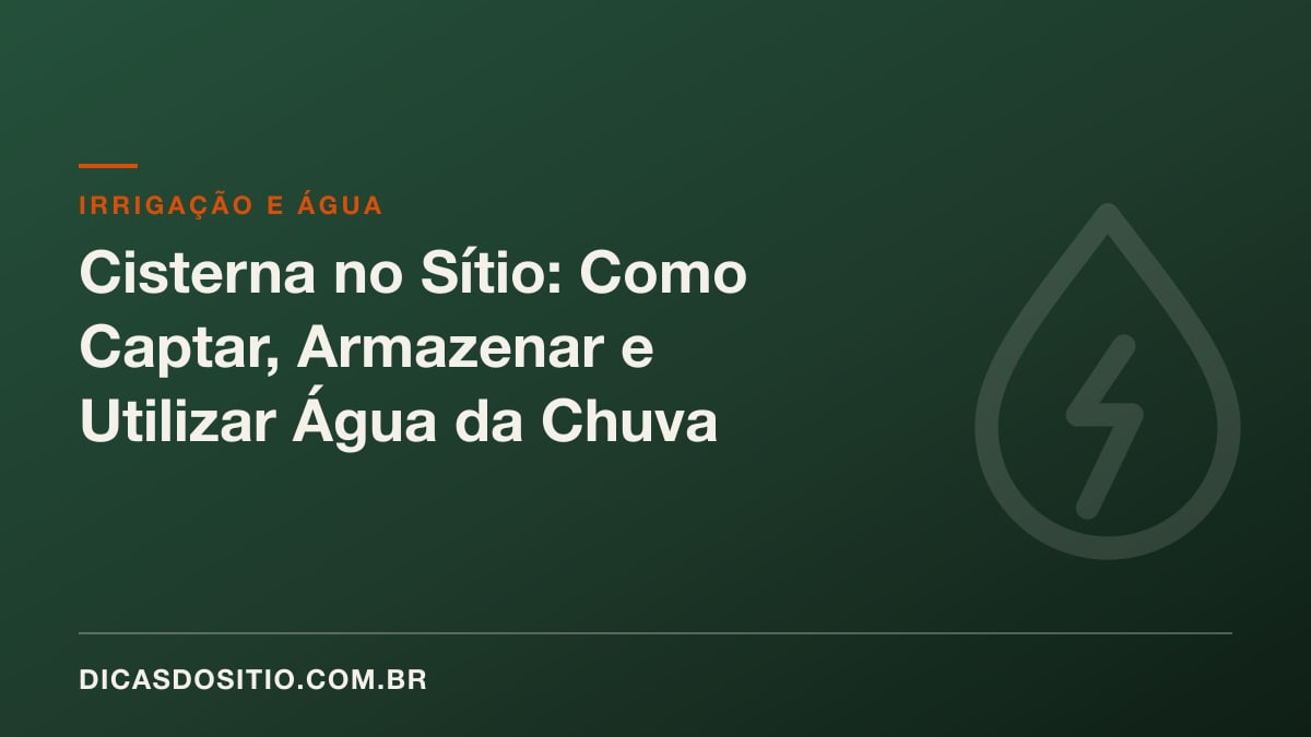 Cisterna no Sítio: Como Captar, Armazenar e Utilizar Água da Chuva