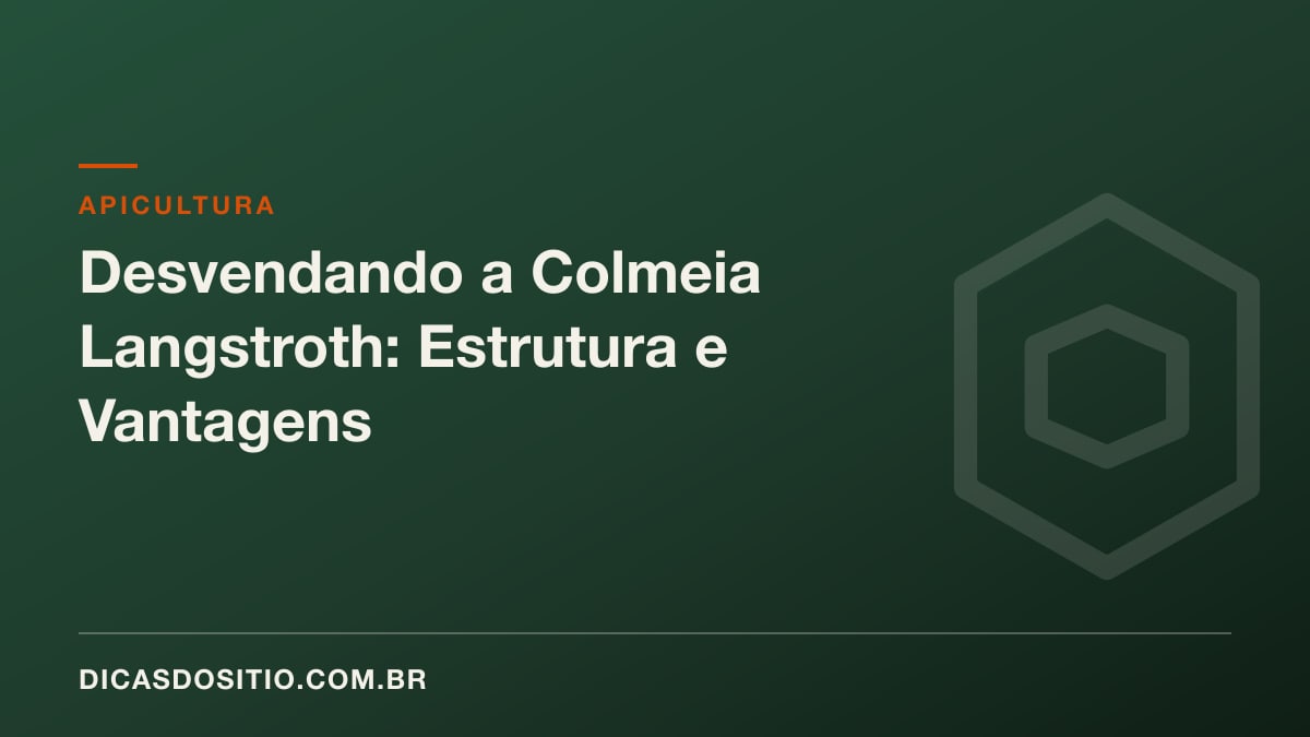 Desvendando a Colmeia Langstroth: Estrutura e Vantagens