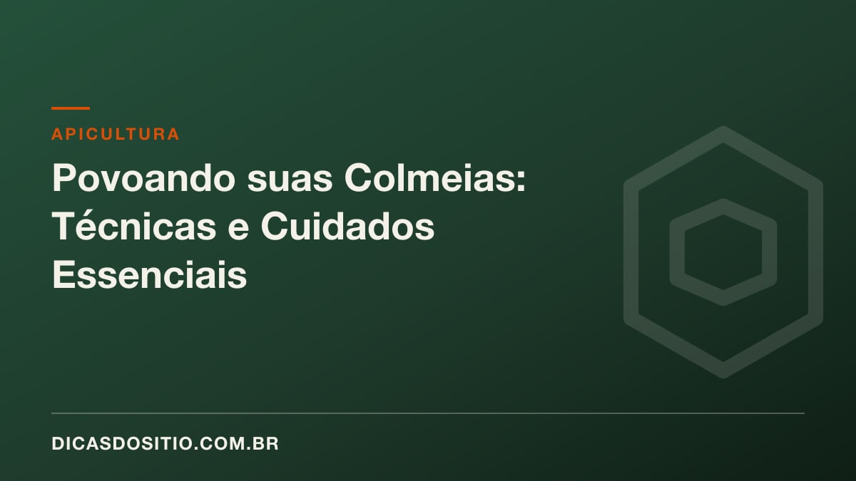 Povoando suas Colmeias: Técnicas e Cuidados Essenciais