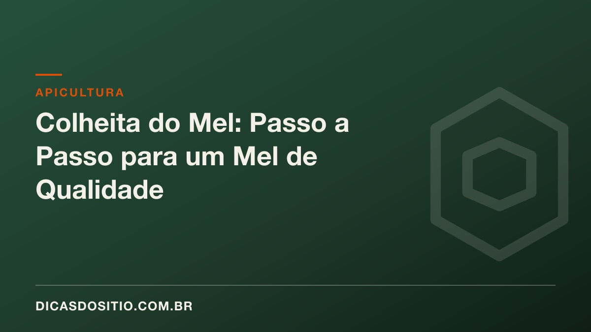 Colheita do Mel: Passo a Passo para um Mel de Qualidade