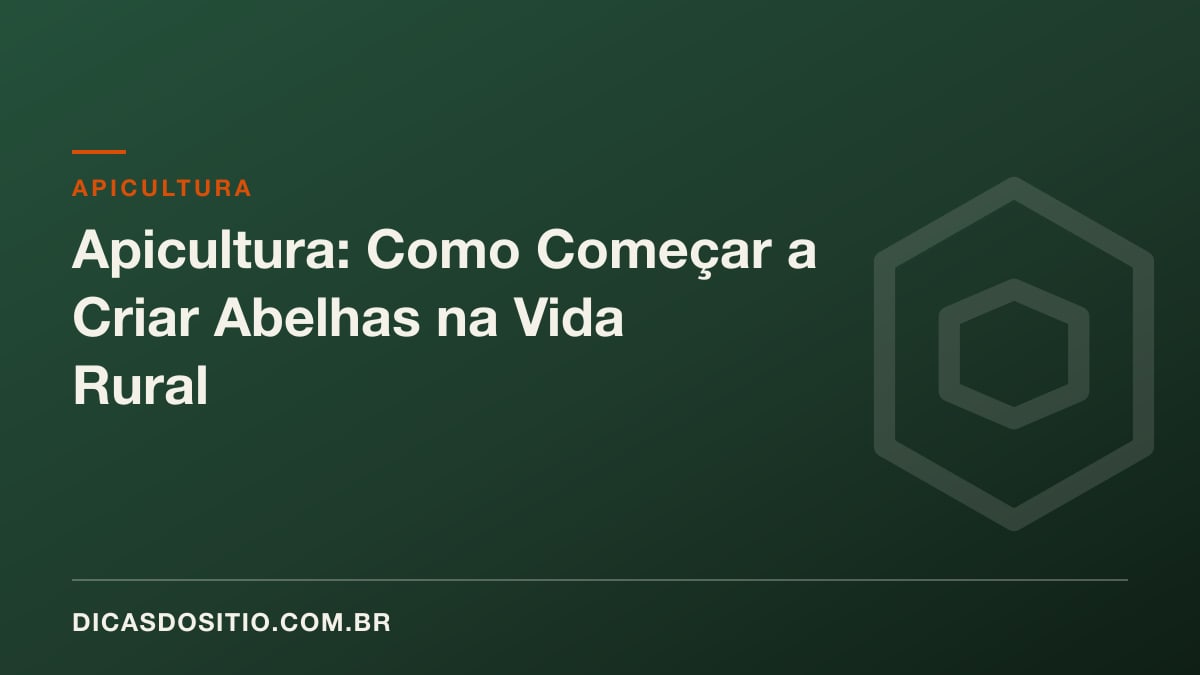 Apicultura: Como Começar a Criar Abelhas na Vida Rural