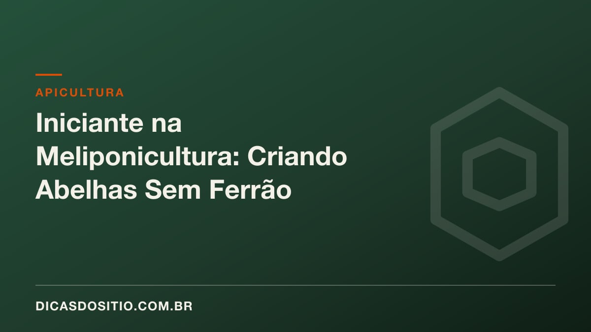 Iniciante na Meliponicultura: Criando Abelhas Sem Ferrão