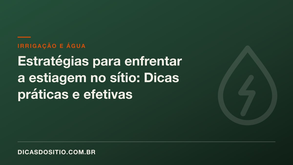 Estratégias para enfrentar a estiagem no sítio: Dicas práticas e efetivas