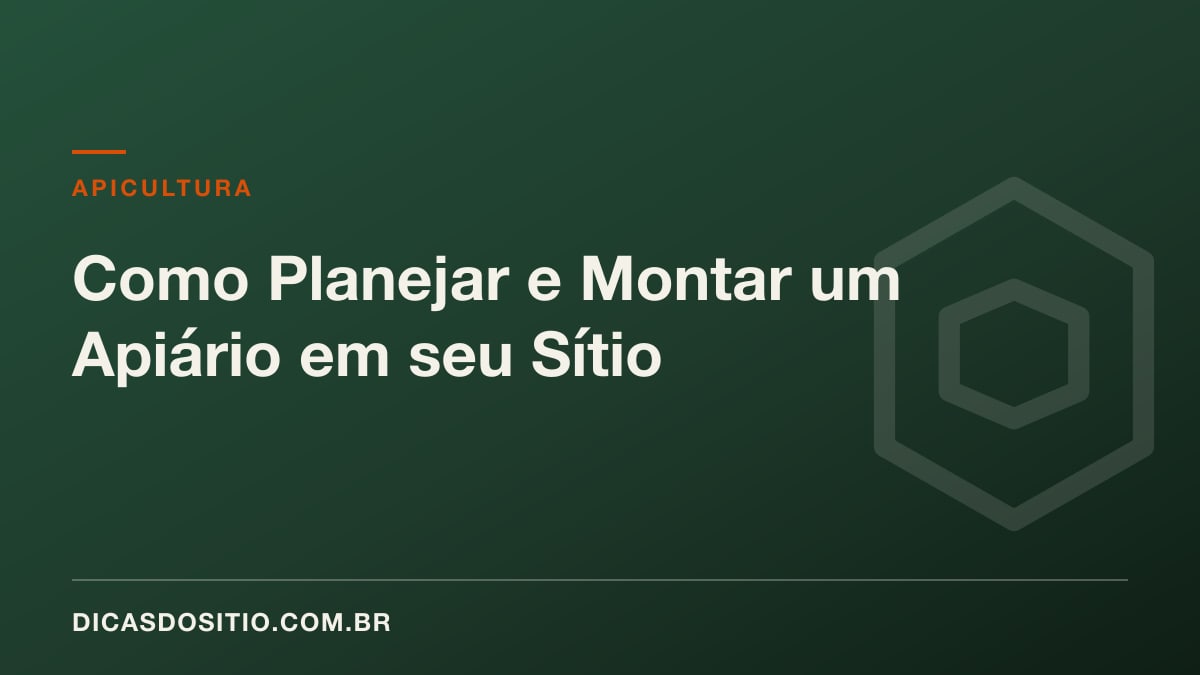 Como Planejar e Montar um Apiário em seu Sítio