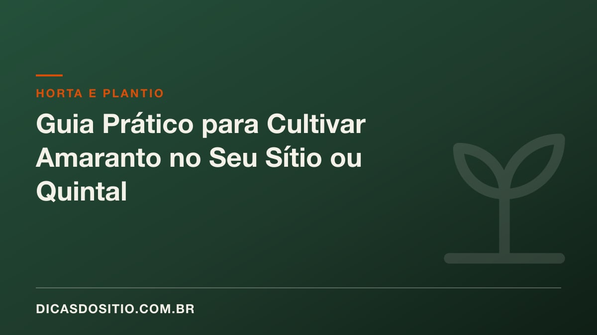 Guia Prático para Cultivar Amaranto no Seu Sítio ou Quintal