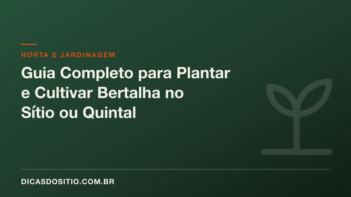 Guia Completo para Plantar e Cultivar Bertalha no Sítio ou Quintal