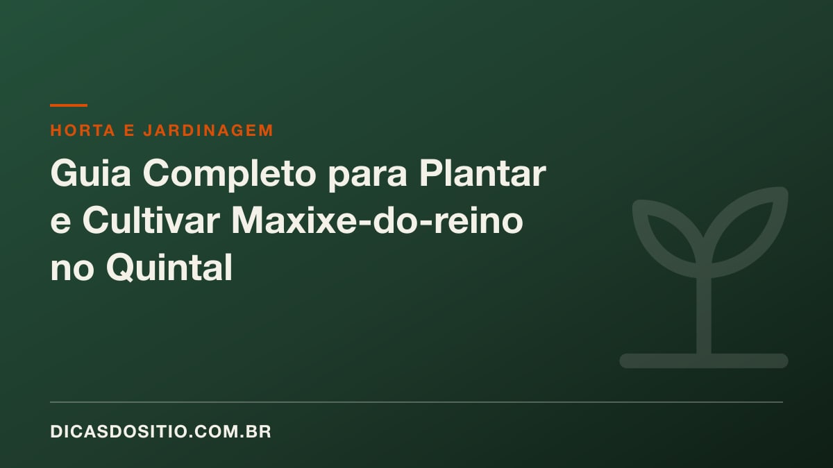 Guia Completo para Plantar e Cultivar Maxixe-do-reino no Quintal