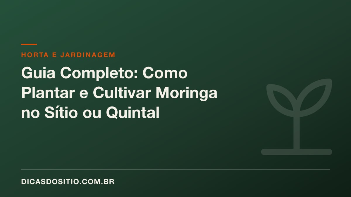 Guia Completo: Como Plantar e Cultivar Moringa no Sítio ou Quintal