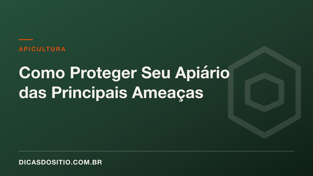 Como Proteger Seu Apiário das Principais Ameaças