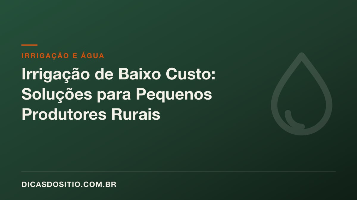 Irrigação de Baixo Custo: Soluções para Pequenos Produtores Rurais