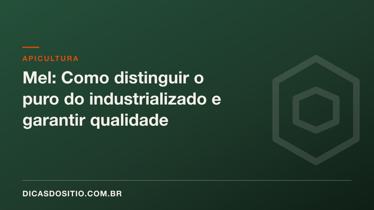 Mel: Como distinguir o puro do industrializado e garantir qualidade