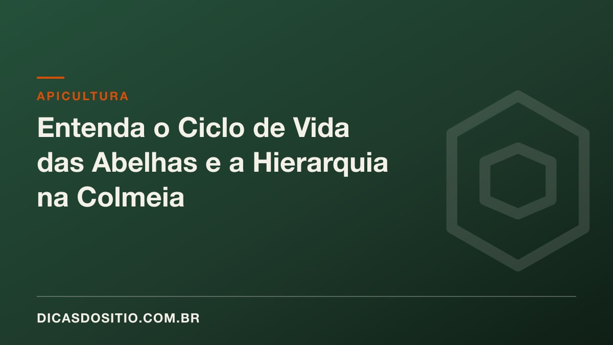 Hierarquia das abelhas: rainha, operárias e zangões, e o ciclo de vida na colmeia