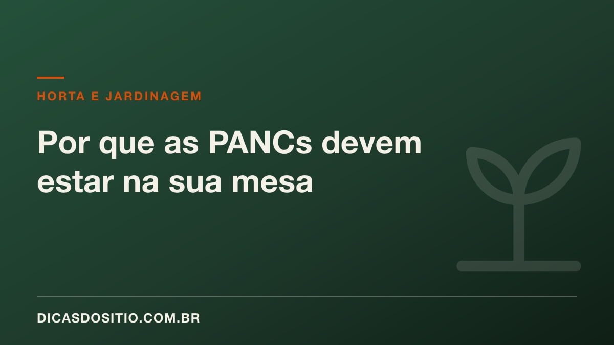 Por que as PANCs devem estar na sua mesa