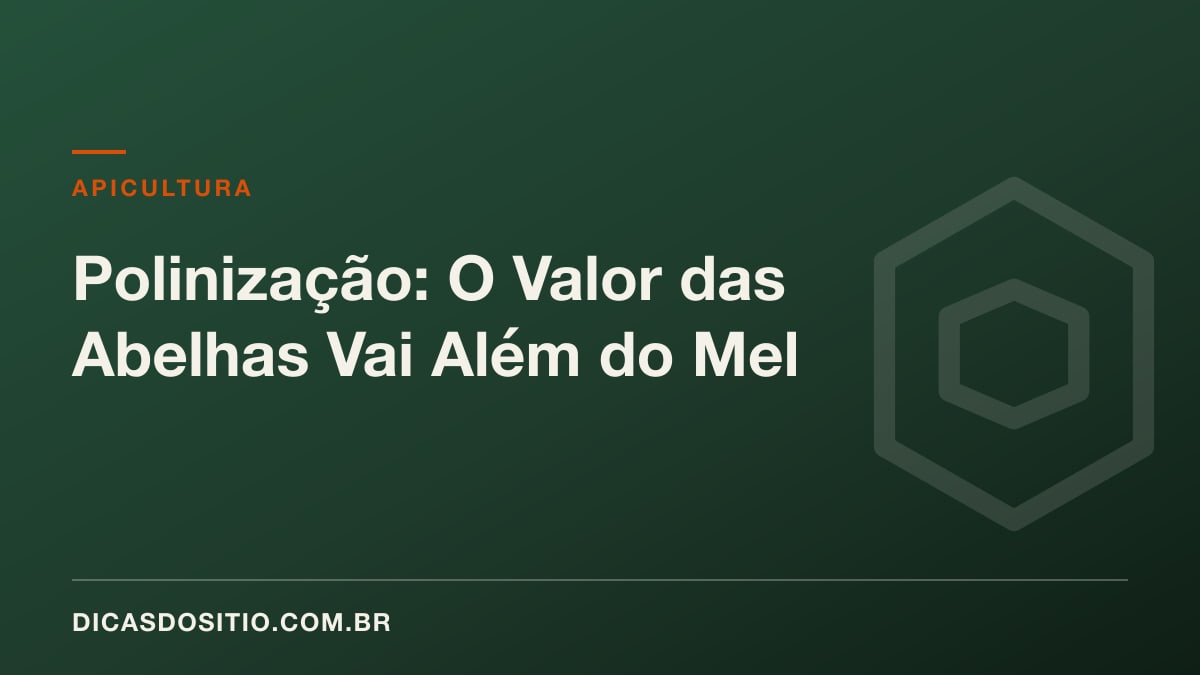 Polinização: O Valor das Abelhas Vai Além do Mel