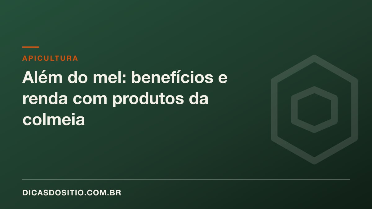 Além do mel: benefícios e renda com produtos da colmeia