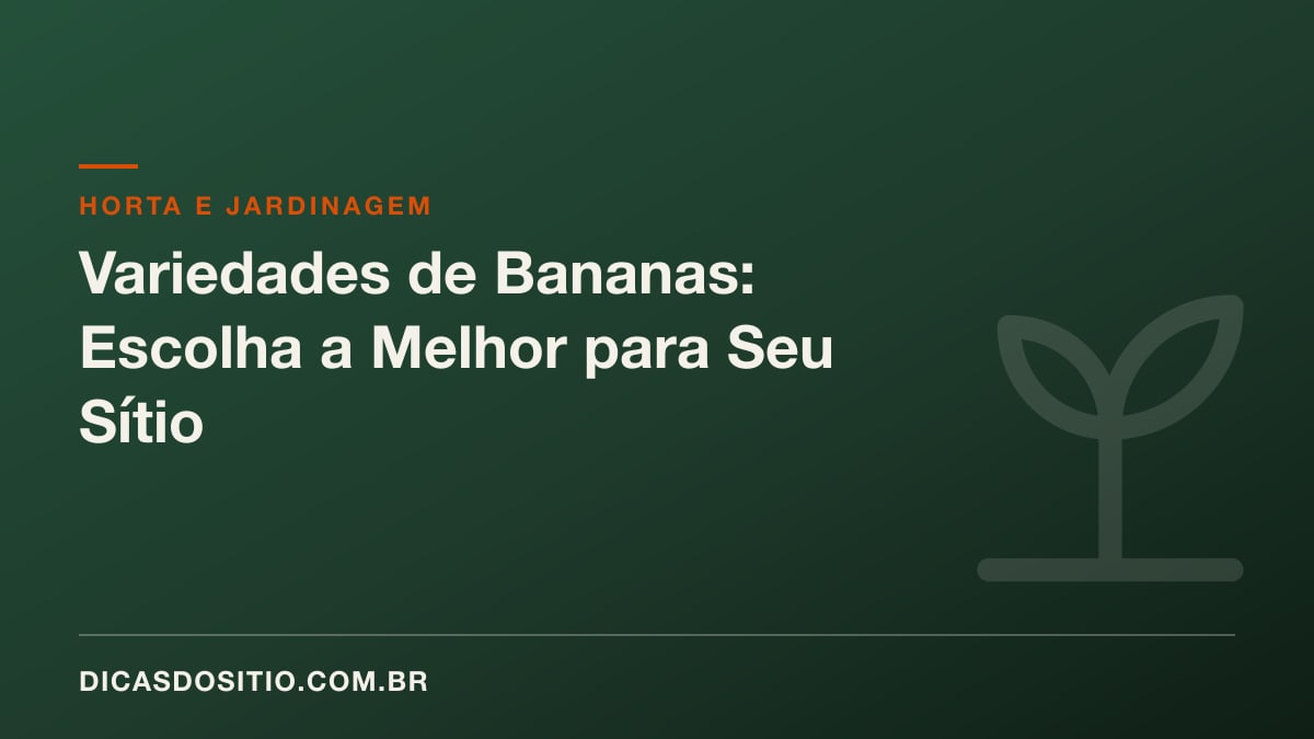 Variedades de Bananas: Escolha a Melhor para Seu Sítio