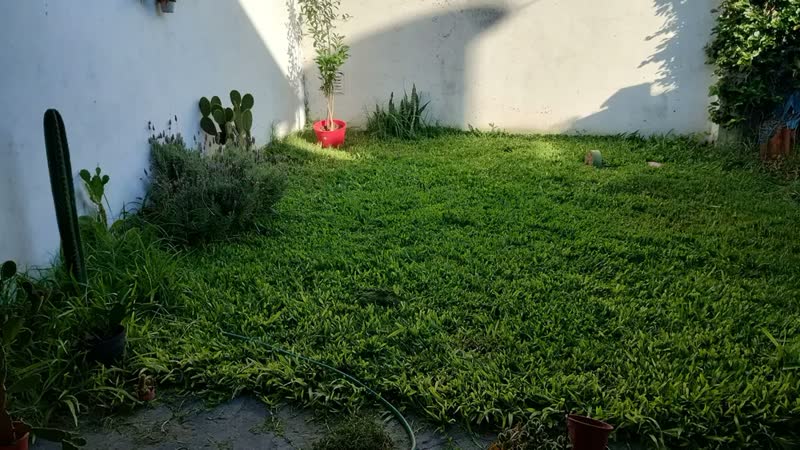 foto de Aparador de Grama Tramontina AP1000T com Diâmetro de Corte 280mm 1.000W