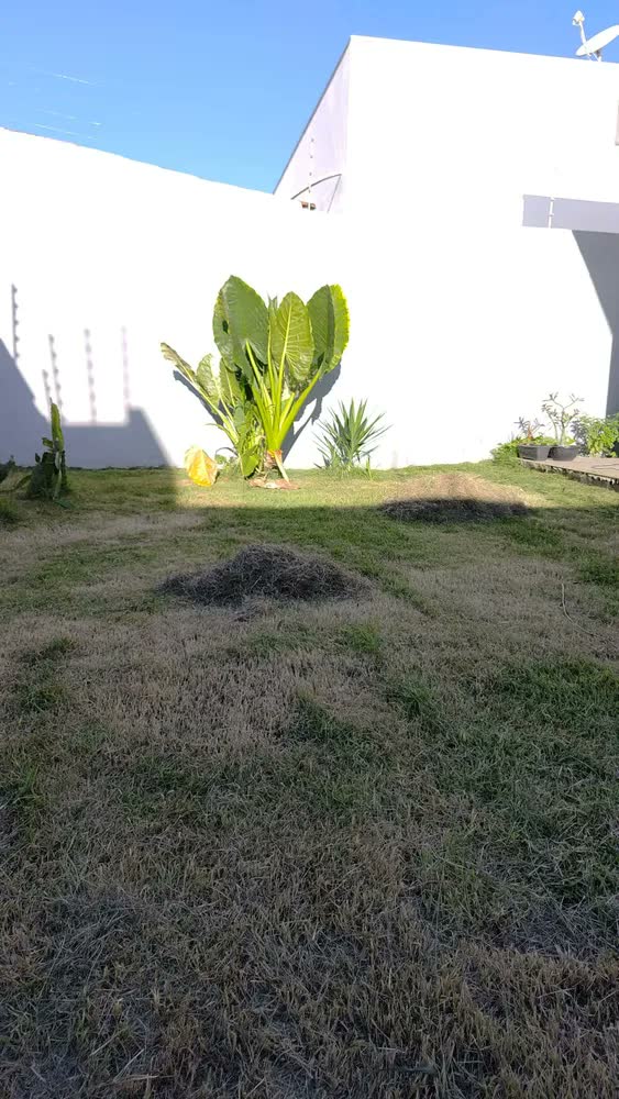 foto de Cortador de Grama Elétrico 1300W com coletor Tramontina – Alta Performance e Facilidade no Uso