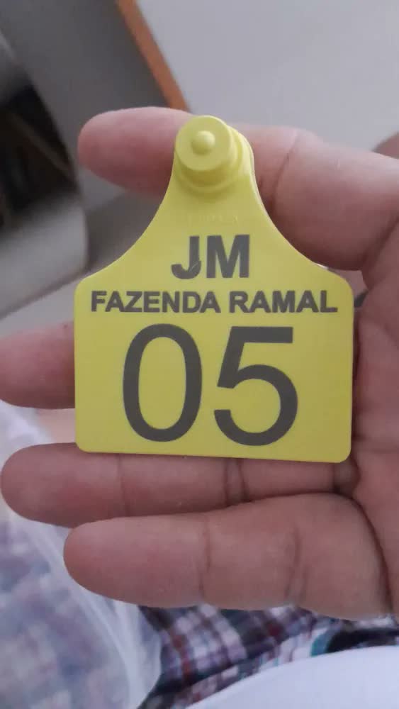 foto de 50 Brincos Grandes Personalizados Com Marca Para Bovinos