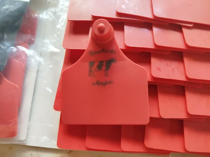 foto de 50 Brincos Grandes Personalizados Com Marca Para Bovinos
