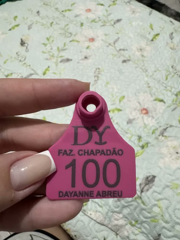 foto de 100 Brincos Médios Personalizados Com Marca Para Bezerro