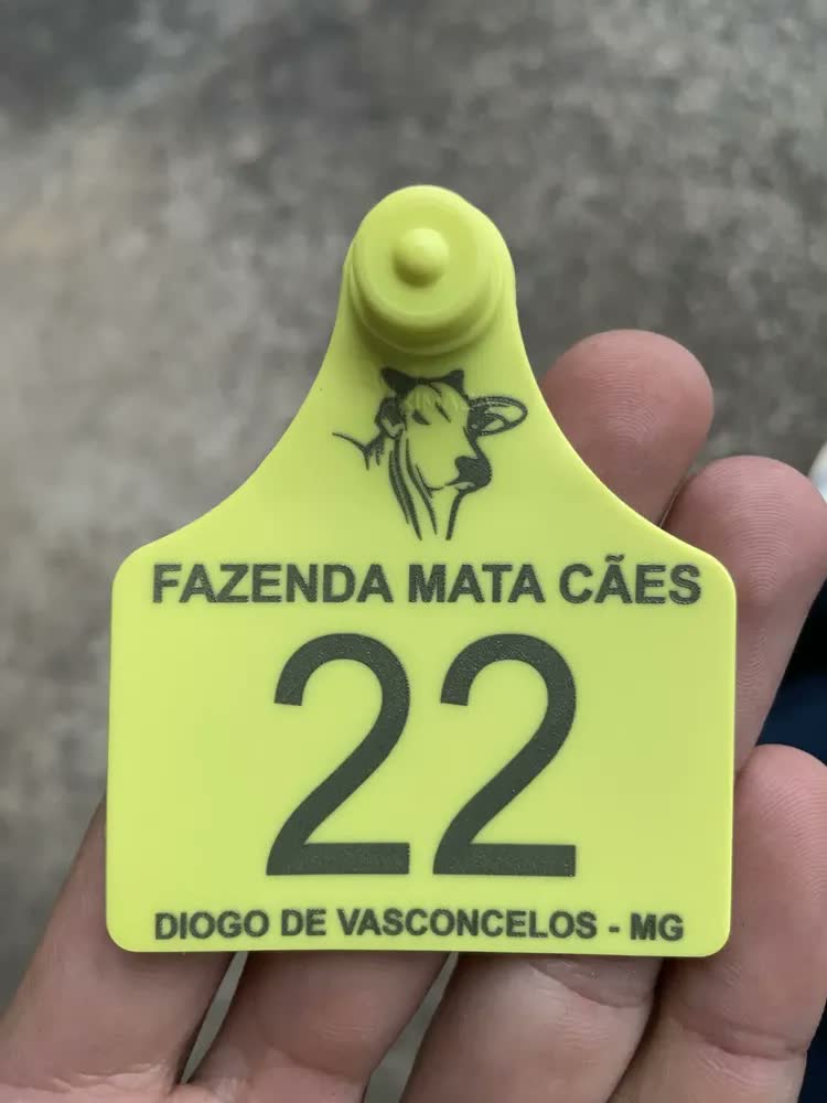 foto de 100 Brincos Grandes Personalizados Com Logo Para Gado Bovino