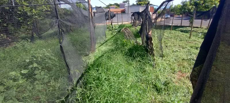 foto de Aparador De Grama 1.500w Bipartido Gam-1500bp Garthen