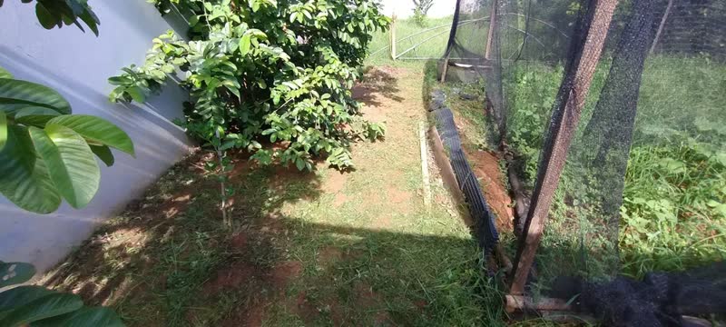 foto de Aparador De Grama 1.500w Bipartido Gam-1500bp Garthen
