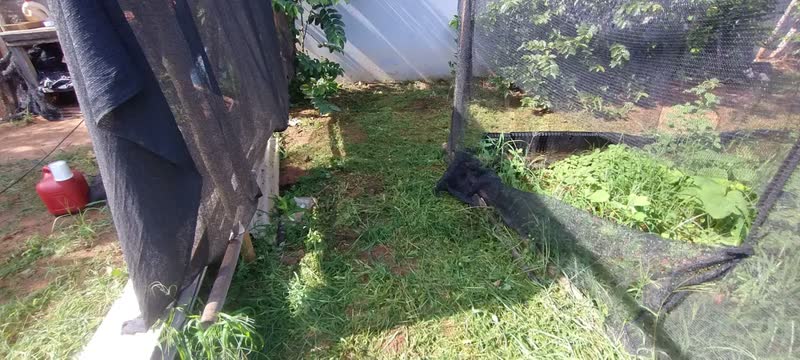 foto de Aparador De Grama 1.500w Bipartido Gam-1500bp Garthen