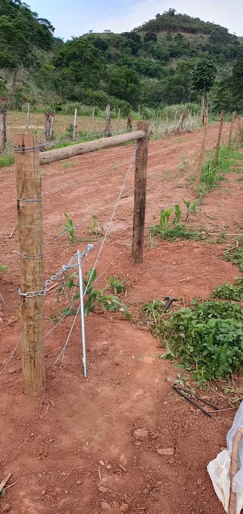 foto de Esticador Arame Liso Farpado Maquina 80cm Maciça Reforçada