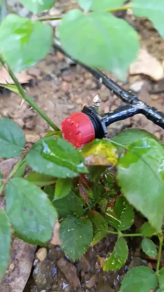 foto de Irrigador Com Temporização Para Torneiras De 3/4 E 1/2