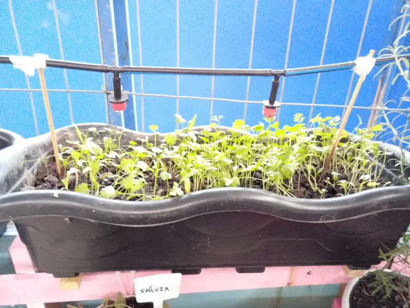 foto de Kit Irrigação  Por Aspersão 149 Peças E 30 Metros Mangueira