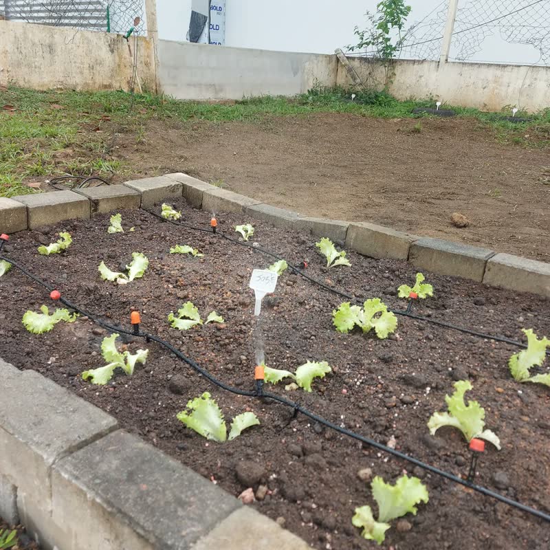 foto de Kit Irrigação  Por Aspersão 149 Peças E 30 Metros Mangueira
