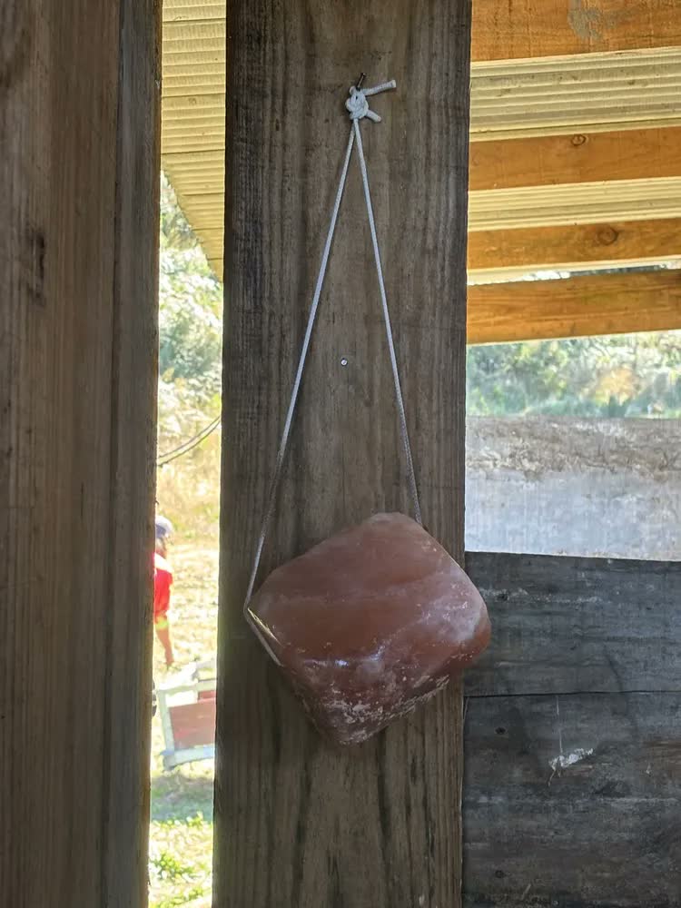foto de Kit 2 Sal Rosa Himalaia - P/ Equinos - Bovinos - Caprinos