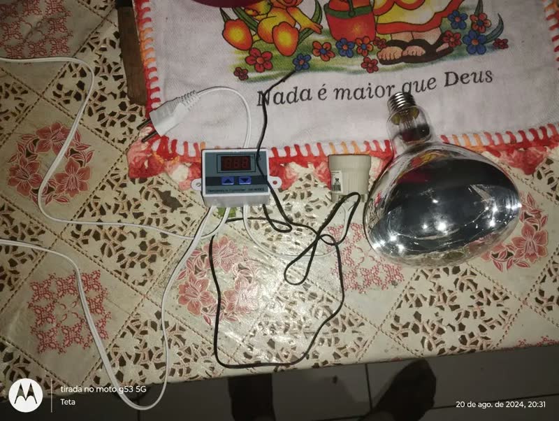 foto de Aquecedor C/ Controle De Temperatura Digital Para Aves E Pet