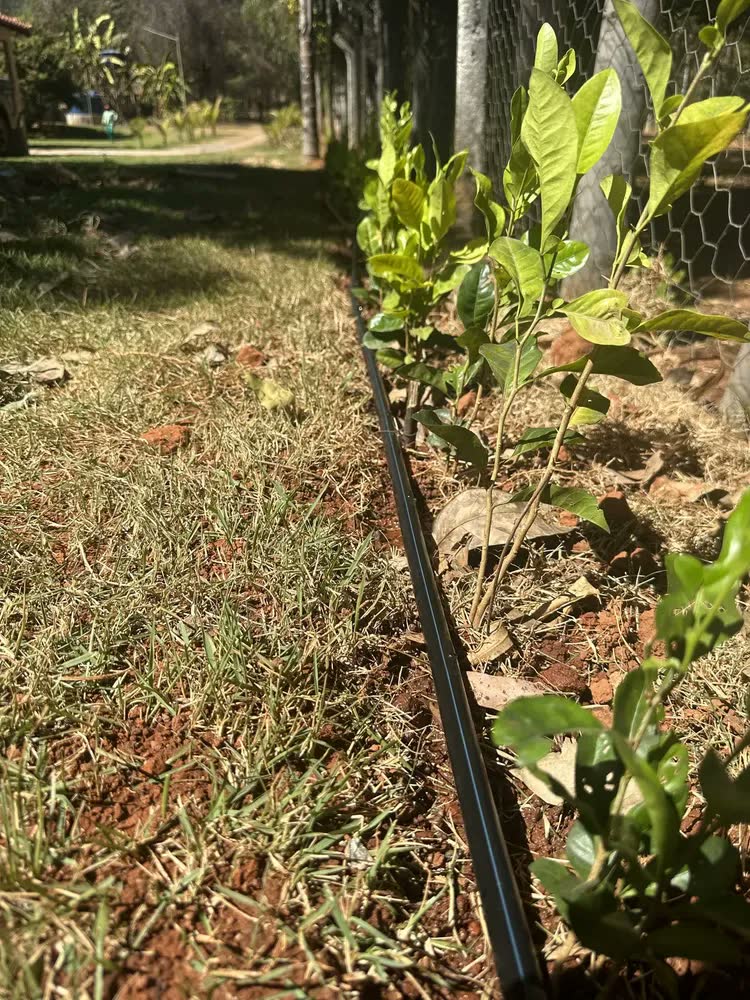 foto de Mangueira Irrigação Gotejamento 100m 16mm Barato + Brindes