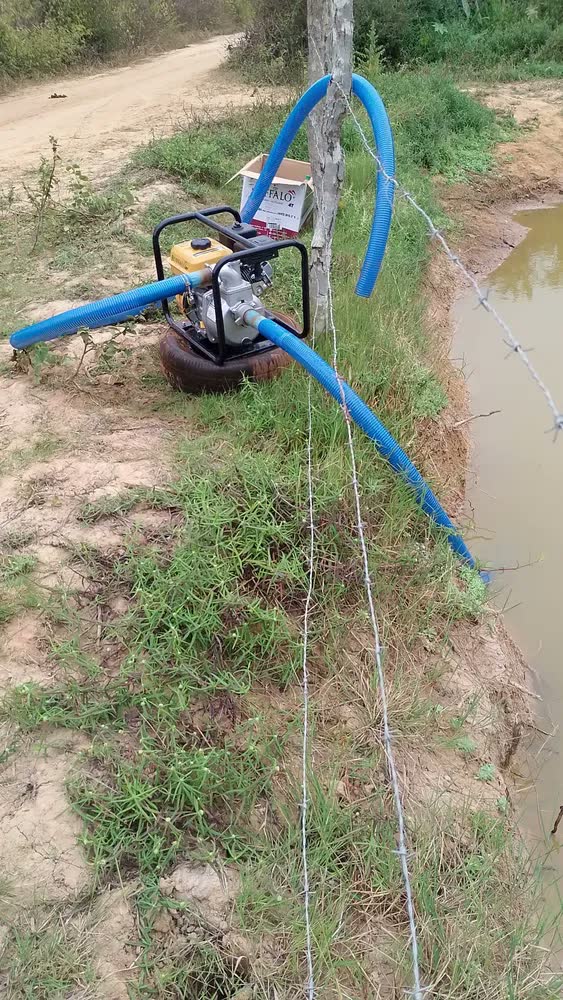 foto de Motobomba Gasolina Bfg 2 Auto Escorvante Pm 7cv Buffalo