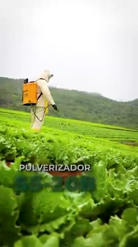 vídeo do produto