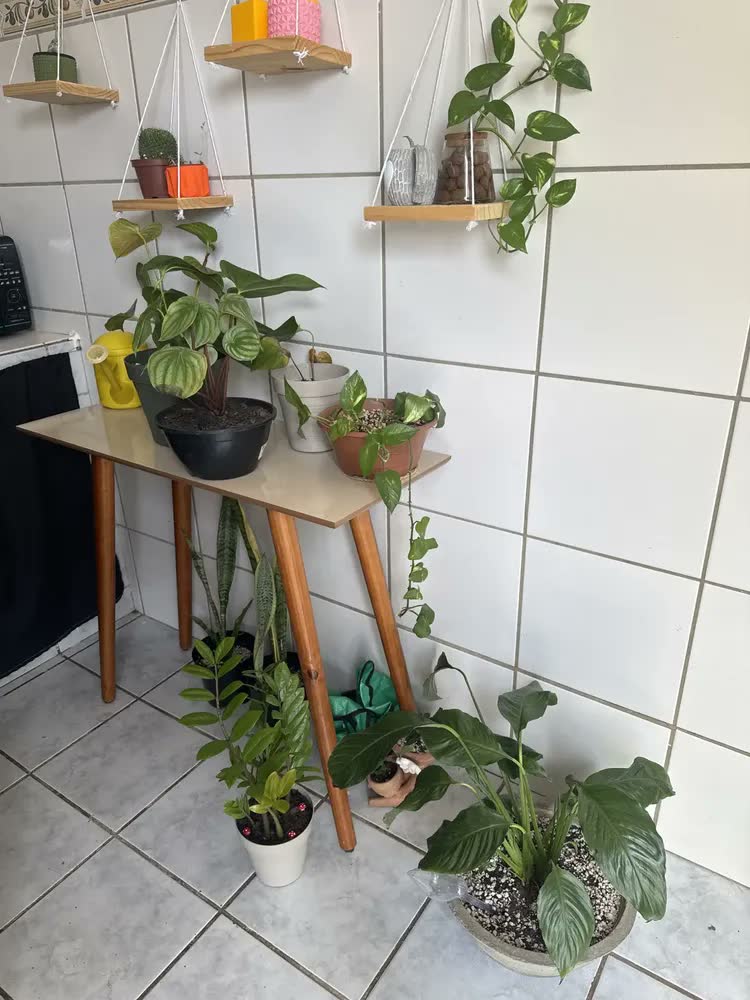 foto de Adubo Natural Húmus De Minhoca Dimy 1kg