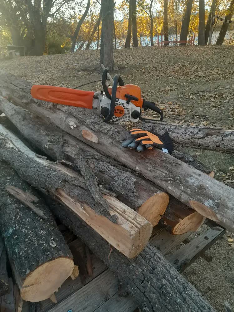 foto de Motosserra Á Gasolina Stihl 31.8cc Ms 180 2.0cv Cor Laranja-claro