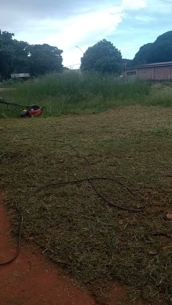 foto de Cortador De Grama Elétrico 1300w Ce35p Tramontina