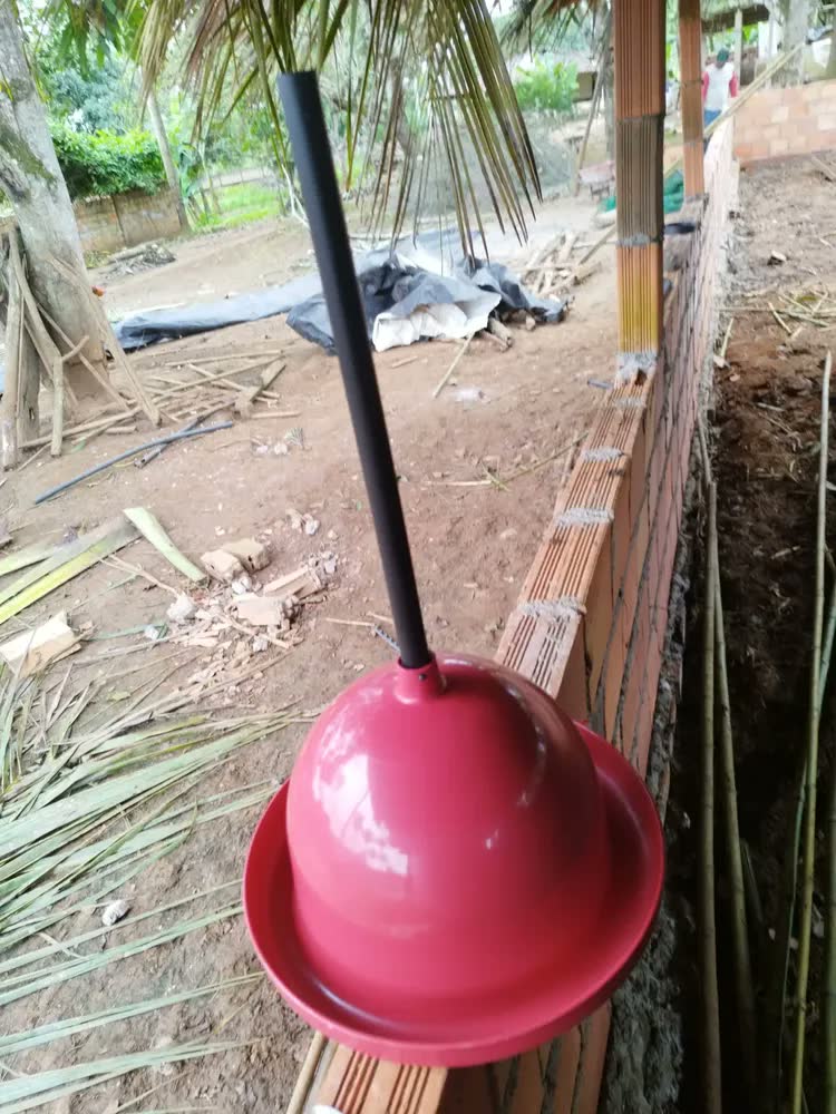 foto de Kit 5 Bebedouro Frango Aves Pendurável Automático Resistente