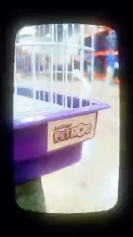 vídeo do produto